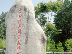 -合肥滨湖国家森林公园