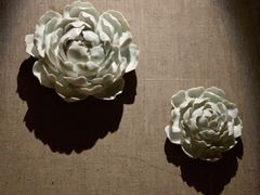 -Dragonfly悠庭·按摩Spa(浦东嘉里城店)