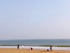 -日照海滨国家森林公园