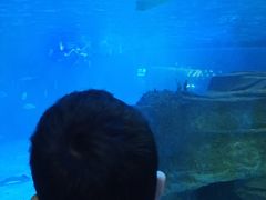 -泉城欧乐堡海洋极地世界