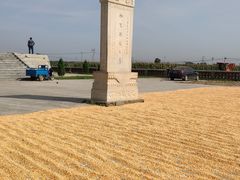 -高玛纳驴肉火烧(河间总店)