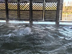 -春晖园度假酒店温泉