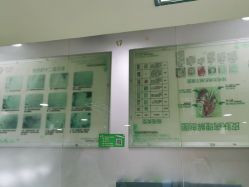 -苗医生专业祛痘·皮肤管理