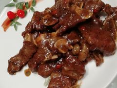 -蝶园·装修中(BFC外滩金融中心店)