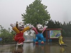 -西霞口神雕山野生动物世界