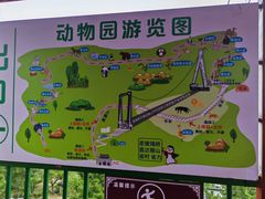 -西霞口神雕山野生动物世界