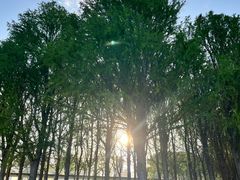 -江滩湿地公园