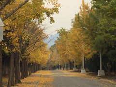 -北京大学(昌平校区)
