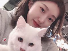 -猫小院猫主题餐厅(三里屯店)
