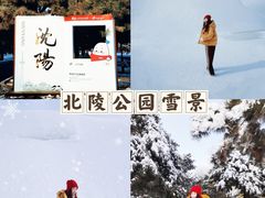-北陵公园