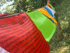 -黄埔油麻山森林公园