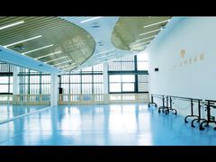 -西安小天鹅艺术团(曲江Alice店)