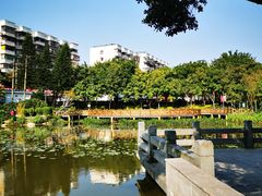 -光明港公园