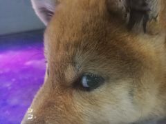 -乐宠宠物店(世纪金源店)