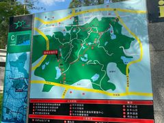 -火炉山森林公园