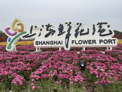 -上海鲜花港