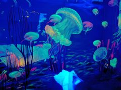 -成都浩海立方海洋公园