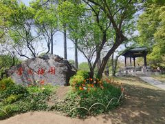-无锡梅园公园