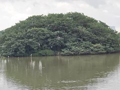 -海珠湖公园