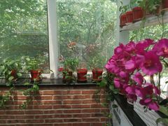 大堂-金豆角砂锅焖面(安贞店)