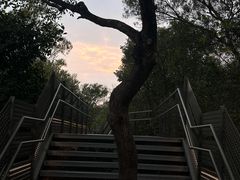 -福道
