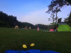 -武陵山森林公园