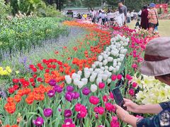 -深圳仙湖植物园