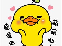 -同喜烤鸭店(光芒店)