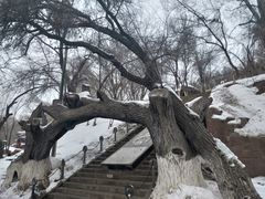 -水磨沟公园