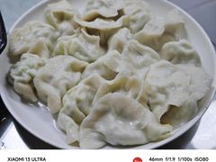 -福园东北菜饺子铁锅炖