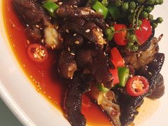 -鸽子侯·家宴·平价海鲜(绿地店)