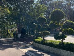 -攀枝花公园