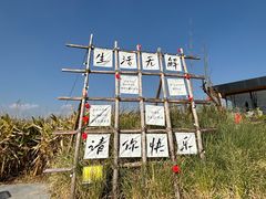 -绿茶餐厅(成都天府红店)