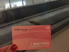 -龙阳路磁悬浮列车总站-停车场