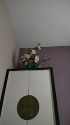 -香秀空间科技抗衰·美容中心