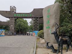 -溱湖国家湿地公园