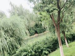-西安华夏文旅水世界