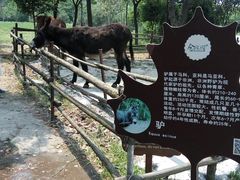 -金稼园·金平湖农家菜