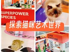 -福田卓悦INTOWN购物中心