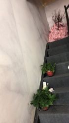 -东宫造型Eastern palace