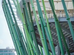 -深圳市宝安体育中心体育场