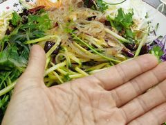 -翠花上酸菜