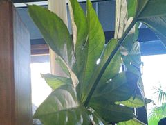 -BUND·FIVE外滩5号(天际店)