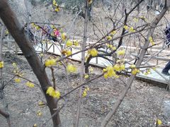 -香山公园-东宫门售票处