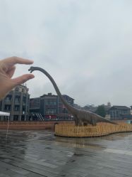 -恐龙探索乐园(磁器口店)