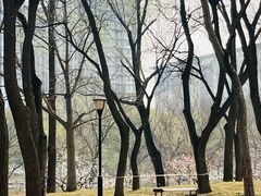 -玲珑塔公园