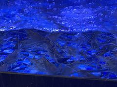 -七的湖·晚芳亭·阳澄湖农家菜·大闸蟹(莲花岛店)