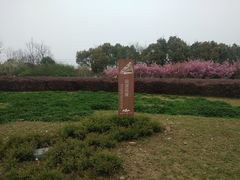 -九里河湿地公园