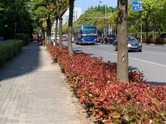 -门庭若市豆浆油条(恒生广场店)
