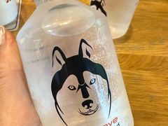 -TrueLove @ Neverland (Husky Cafe)